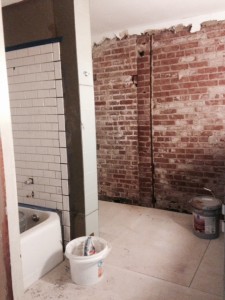exposed brick in the bathroom we are updating at The Horton